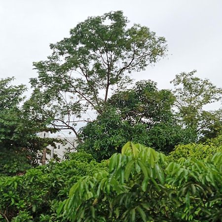 Green Space Homestay Ninh Bình Kültér fotó