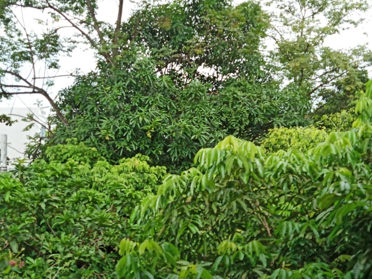 Green Space Homestay Ninh Bình Kültér fotó