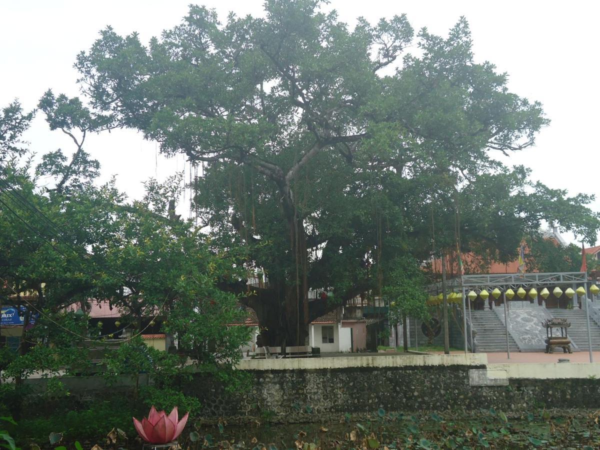 Green Space Homestay Ninh Bình Kültér fotó