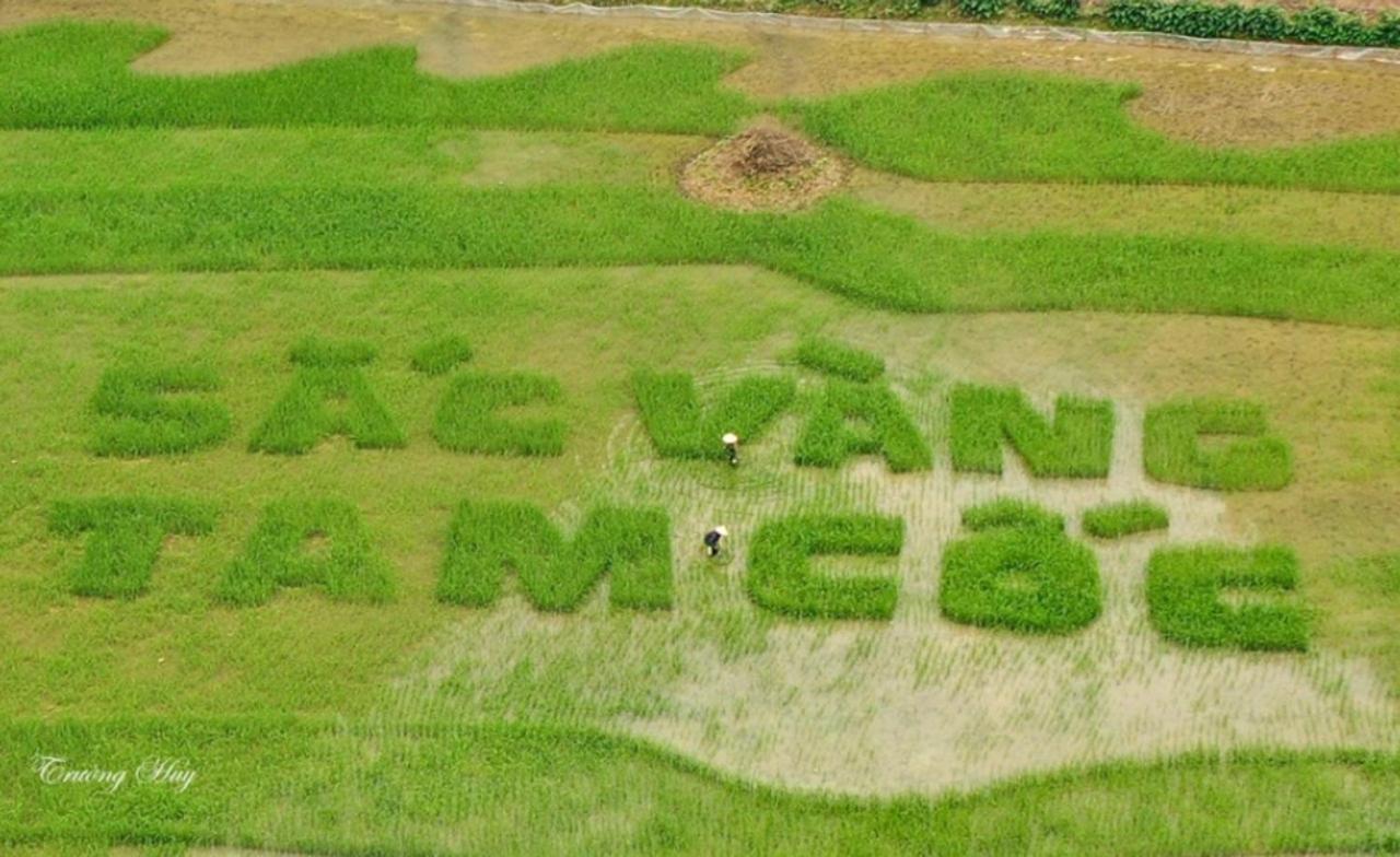 Green Space Homestay Ninh Bình Kültér fotó