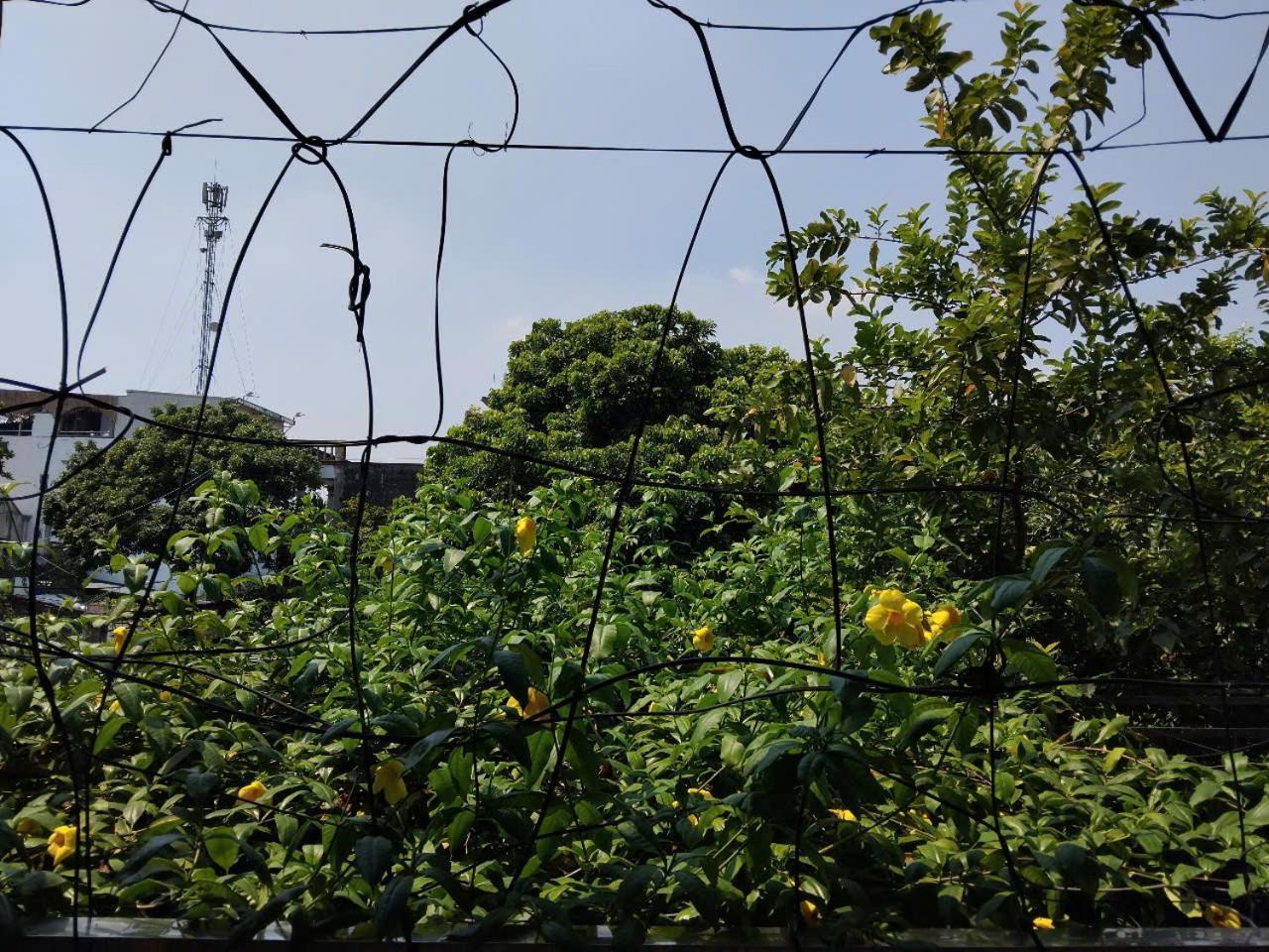 Green Space Homestay Ninh Bình Kültér fotó